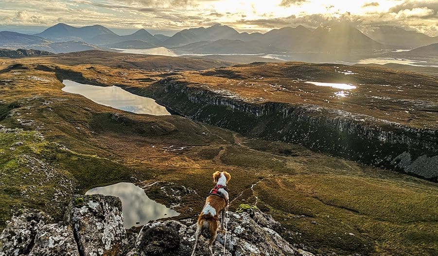 Bonnie Dog viewing Skye from Dun Caan